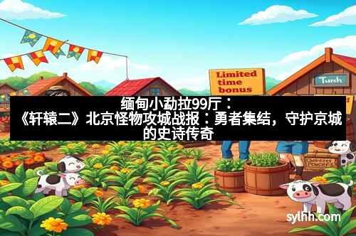 缅甸小勐拉99厅：《轩辕二》北京怪物攻城战报：勇者集结，守护京城的史诗传奇